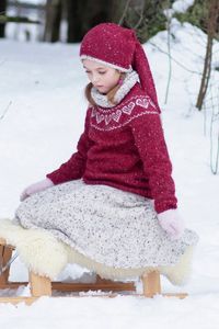 Hovedbilde Hjertegenser